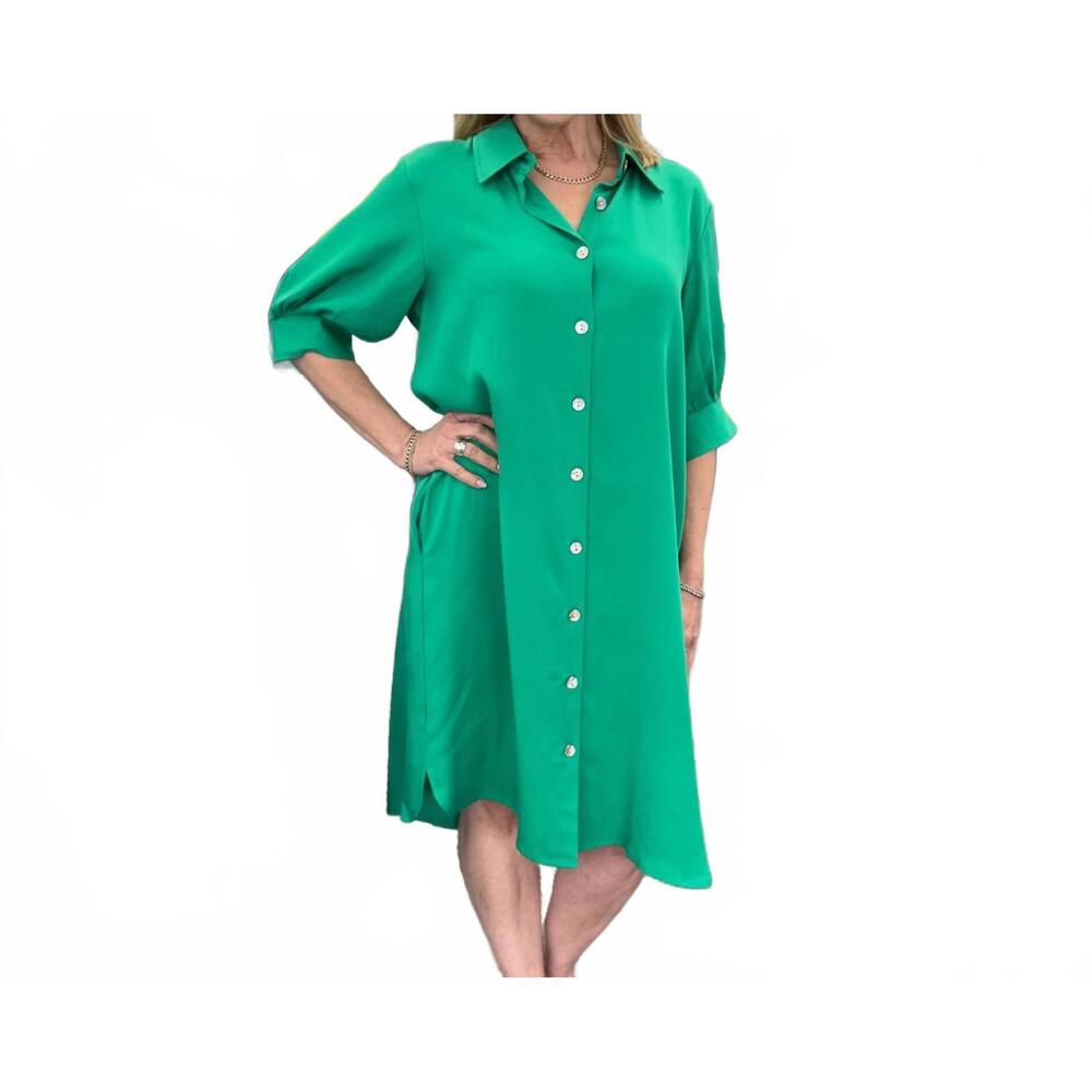 NEW TOOFAN two pocket dress in jade